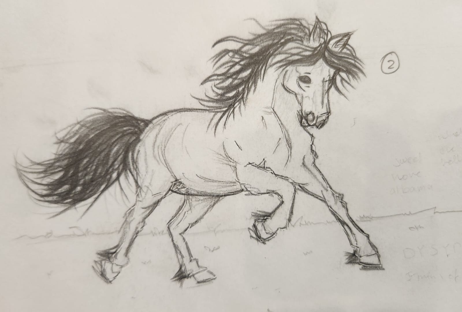 Pencil study of a running horse
